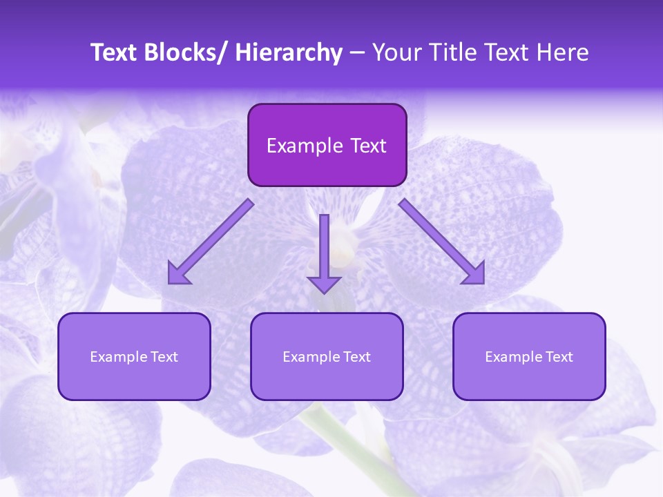 Beautiful Flowers Hd PowerPoint Template