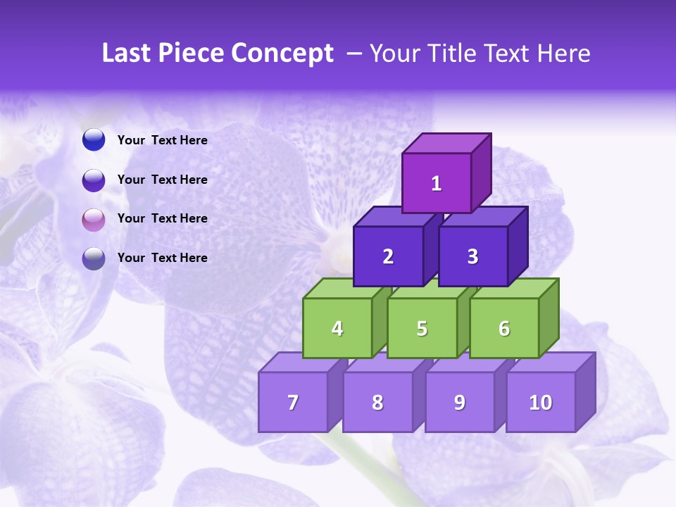 Beautiful Flowers Hd PowerPoint Template