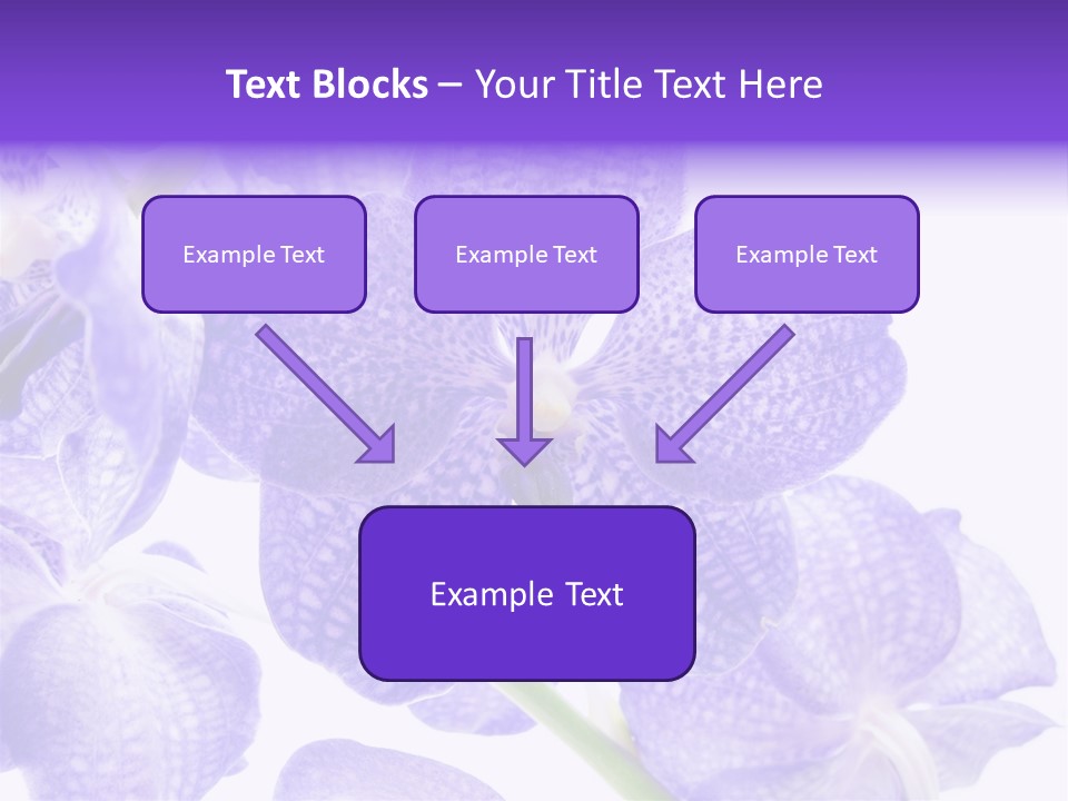 Beautiful Flowers Hd PowerPoint Template