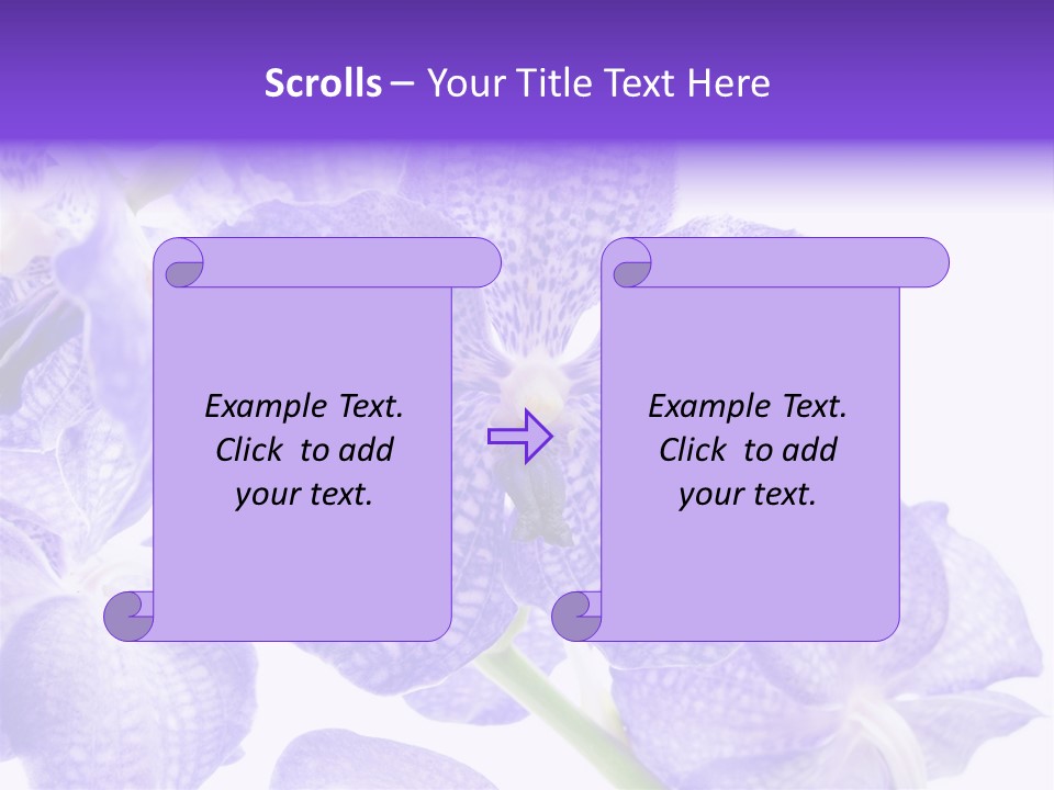 Beautiful Flowers Hd PowerPoint Template