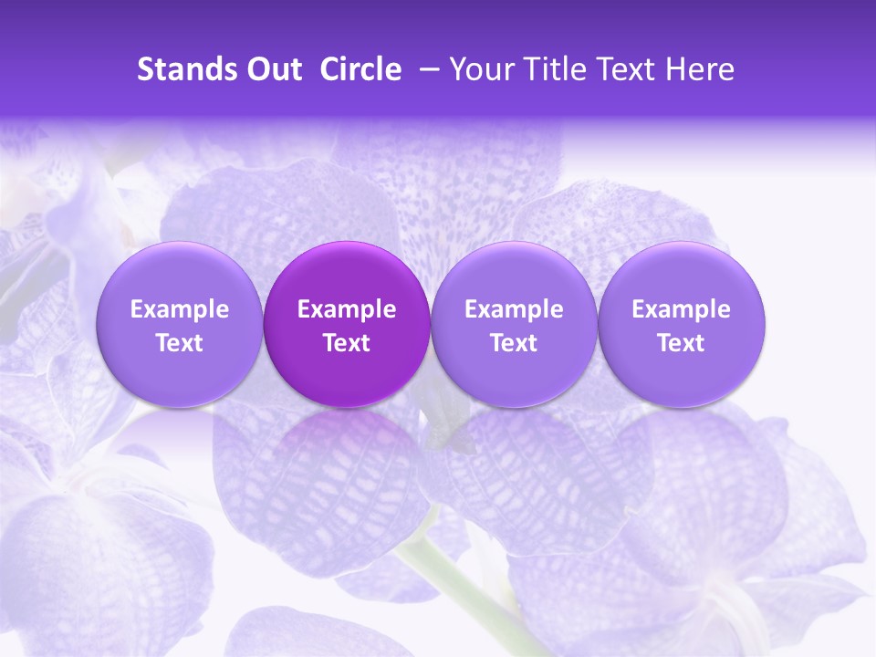 Beautiful Flowers Hd PowerPoint Template