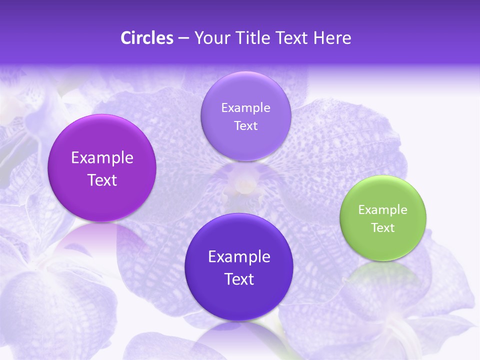 Beautiful Flowers Hd PowerPoint Template