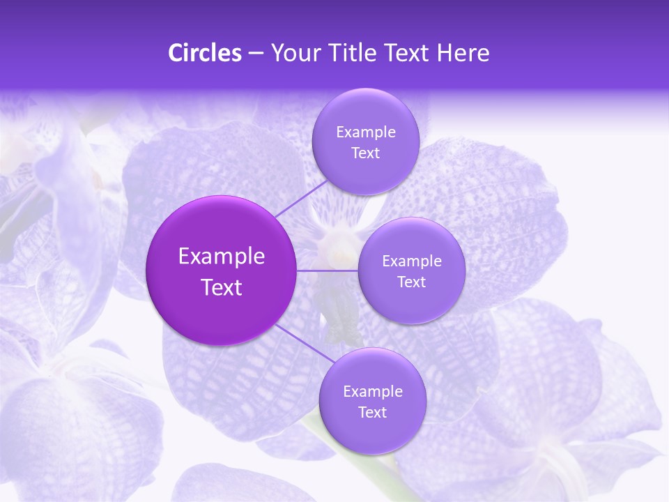 Beautiful Flowers Hd PowerPoint Template