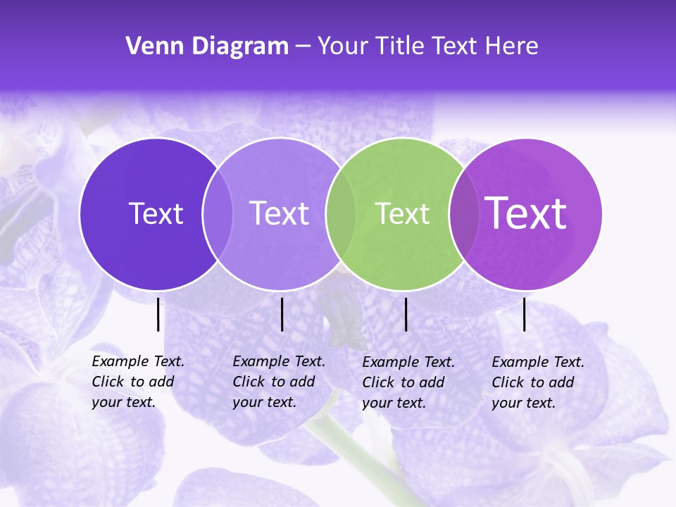 Beautiful Flowers Hd PowerPoint Template