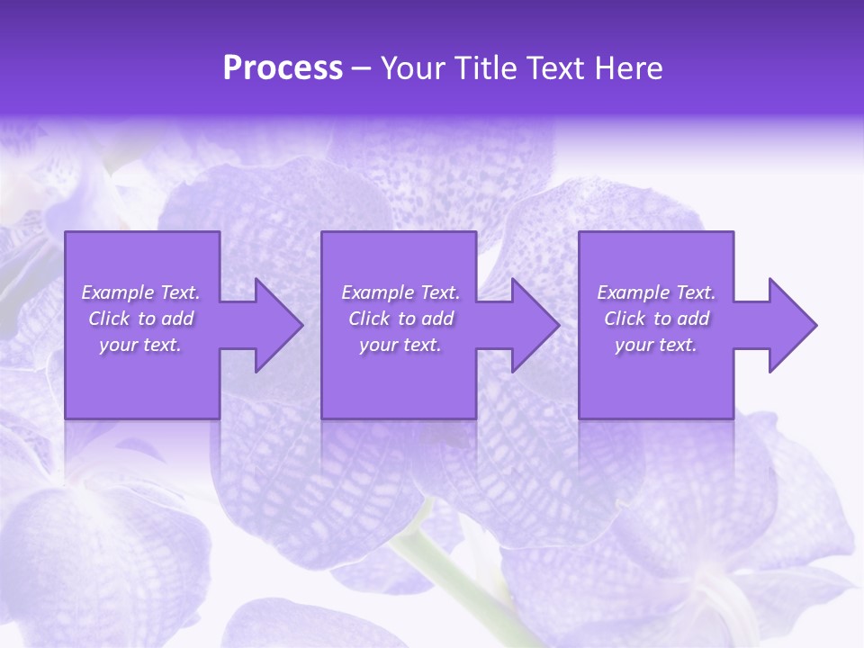 Beautiful Flowers Hd PowerPoint Template