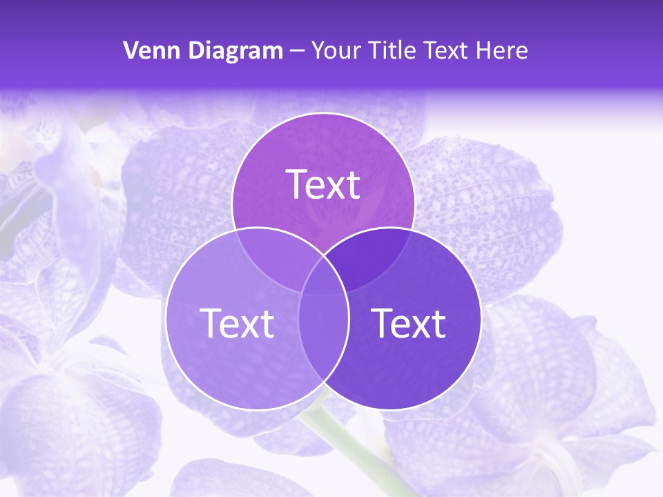 Beautiful Flowers Hd PowerPoint Template