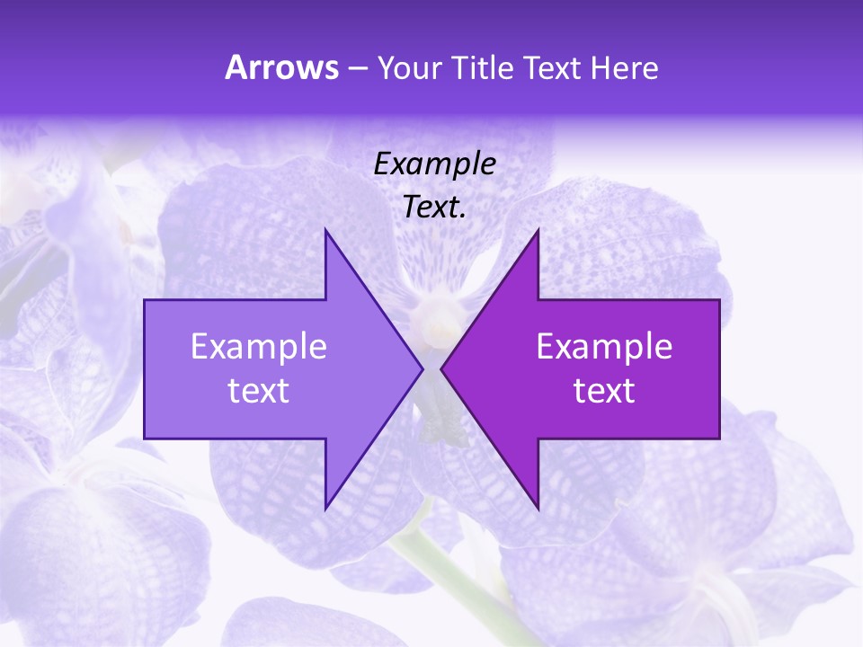 Beautiful Flowers Hd PowerPoint Template