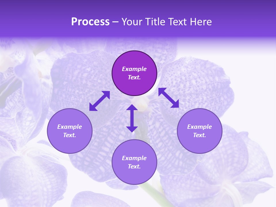 Beautiful Flowers Hd PowerPoint Template