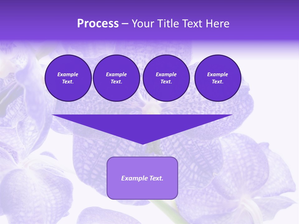 Beautiful Flowers Hd PowerPoint Template