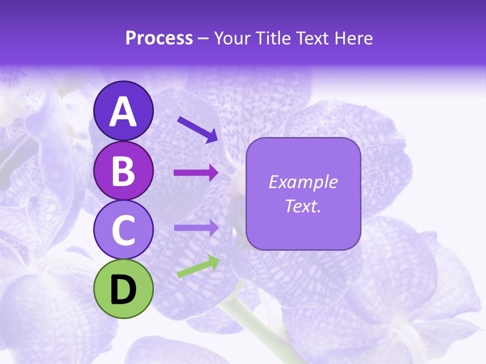 Beautiful Flowers Hd PowerPoint Template