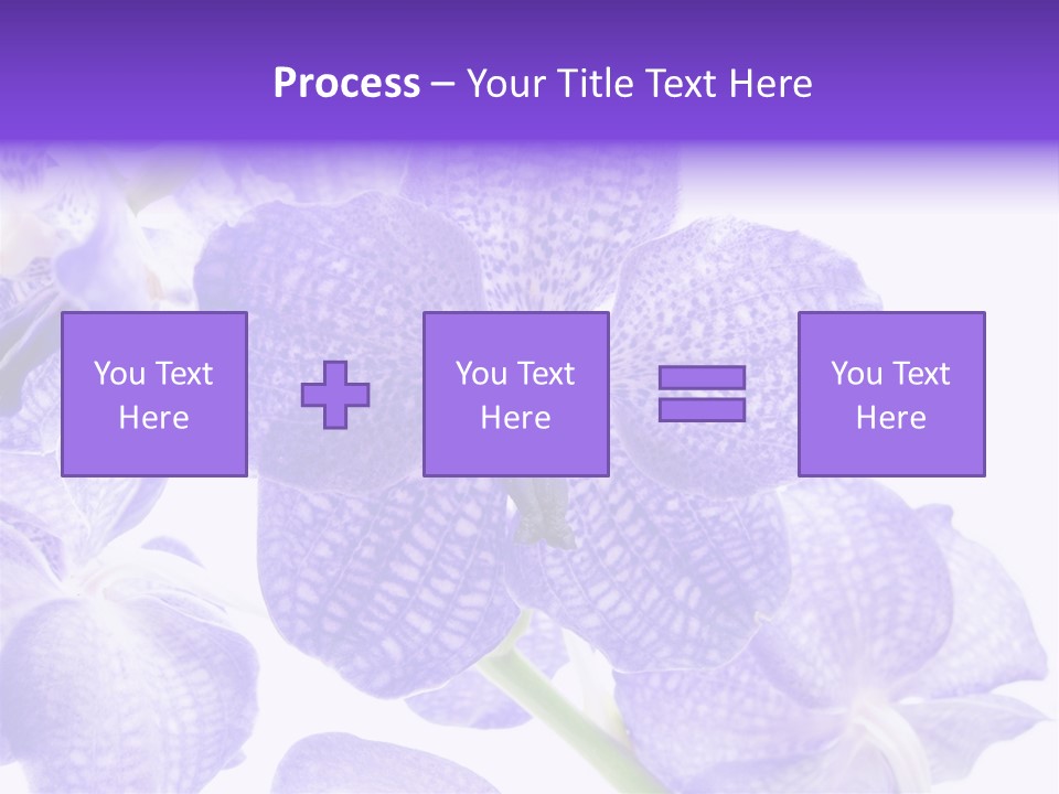 Beautiful Flowers Hd PowerPoint Template