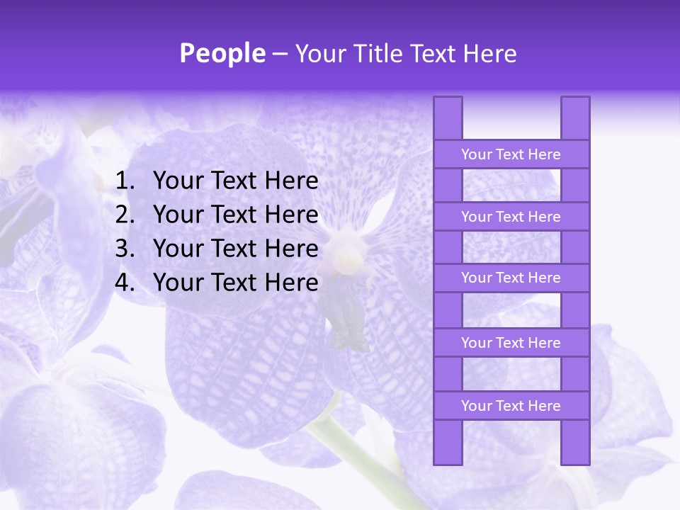 Beautiful Flowers Hd PowerPoint Template