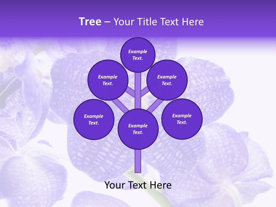 Beautiful Flowers Hd PowerPoint Template