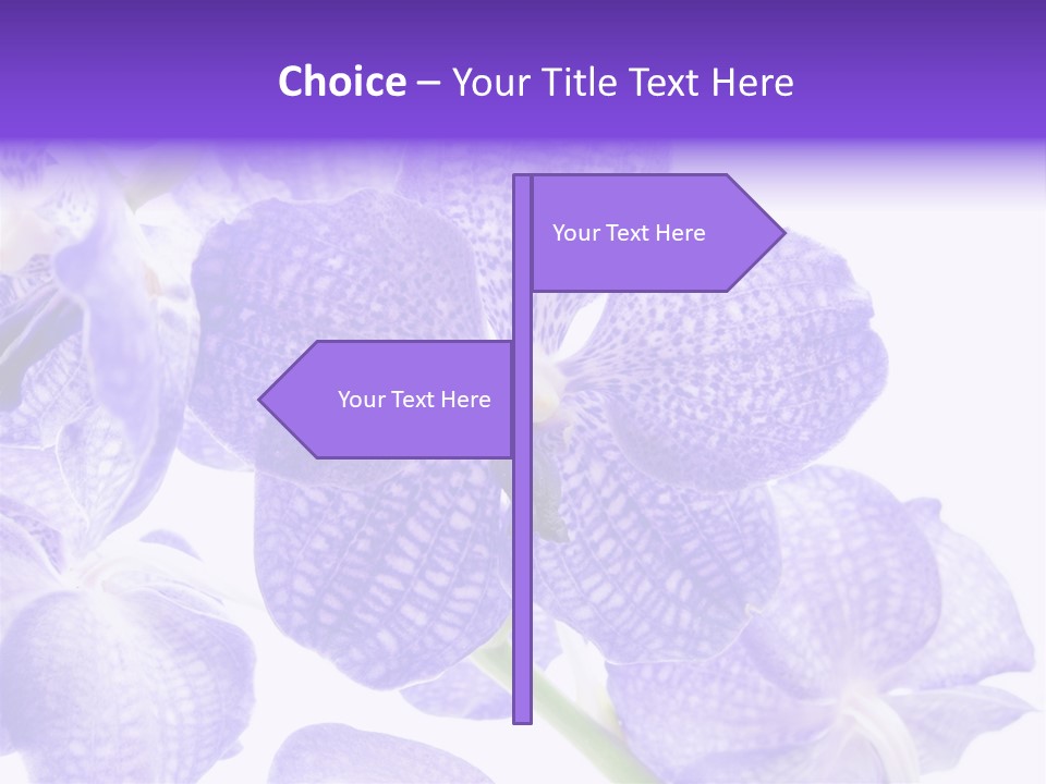 Beautiful Flowers Hd PowerPoint Template