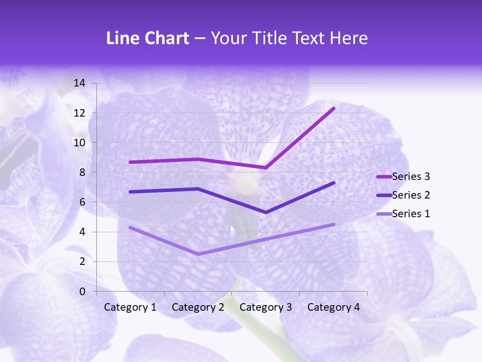 Beautiful Flowers Hd PowerPoint Template