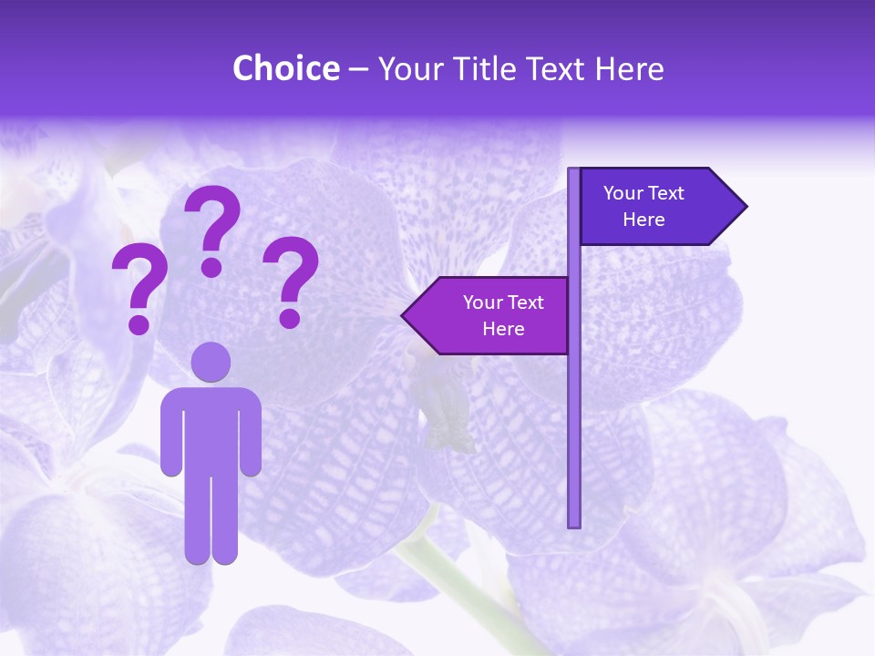 Beautiful Flowers Hd PowerPoint Template