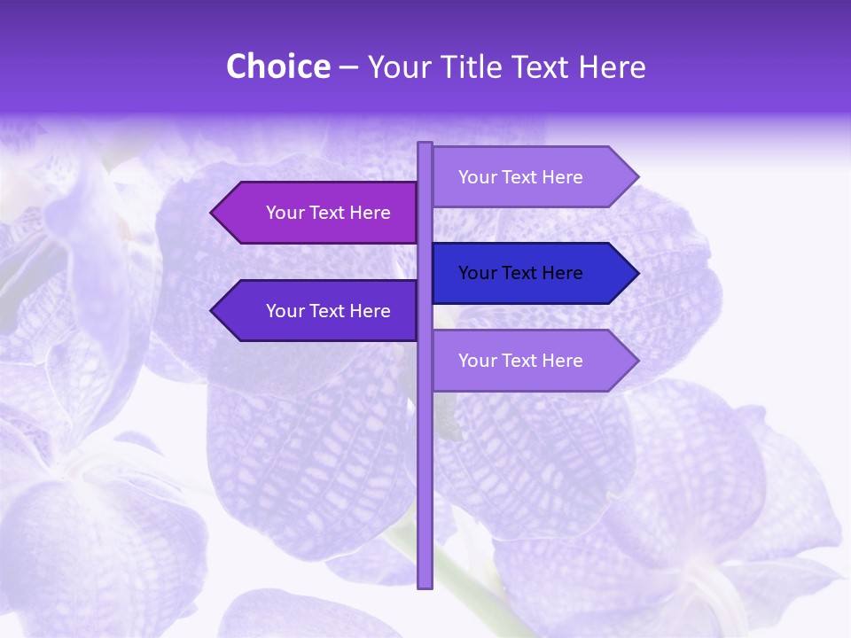 Beautiful Flowers Hd PowerPoint Template