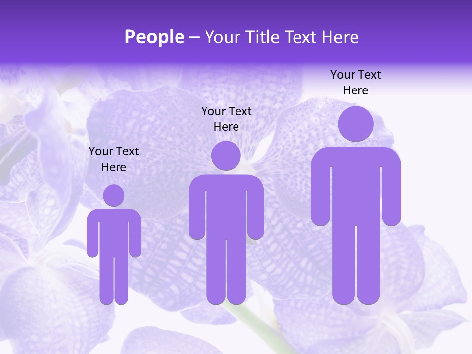 Beautiful Flowers Hd PowerPoint Template