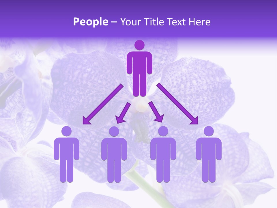 Beautiful Flowers Hd PowerPoint Template