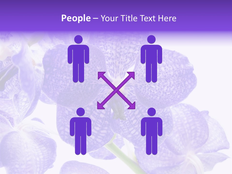 Beautiful Flowers Hd PowerPoint Template