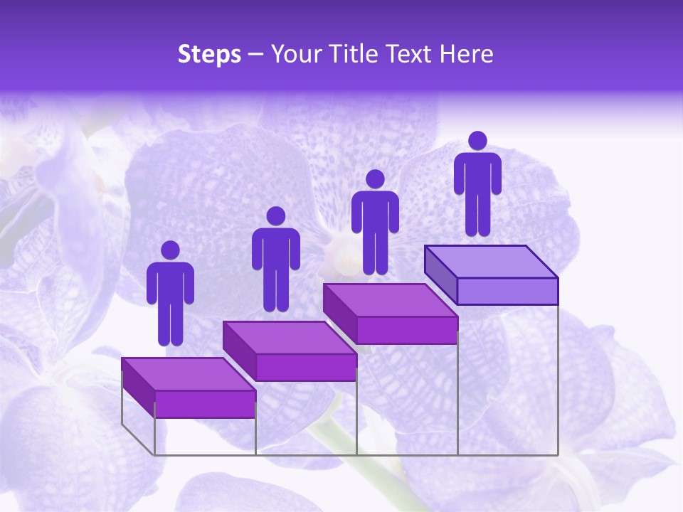 Beautiful Flowers Hd PowerPoint Template