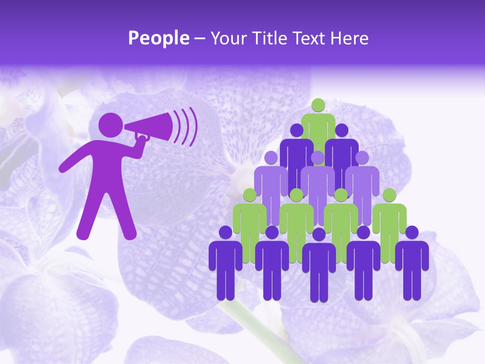 Beautiful Flowers Hd PowerPoint Template