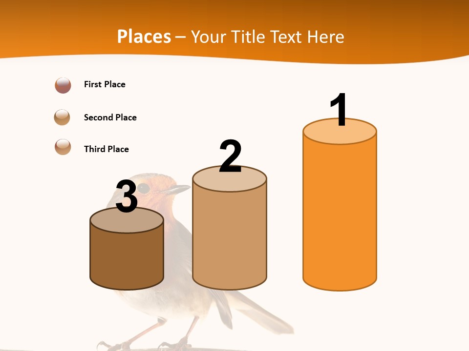 Close Perched Sing PowerPoint Template