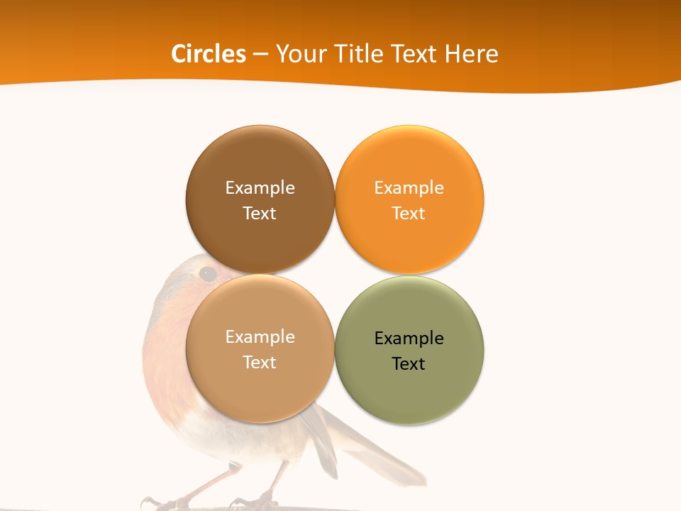 Close Perched Sing PowerPoint Template