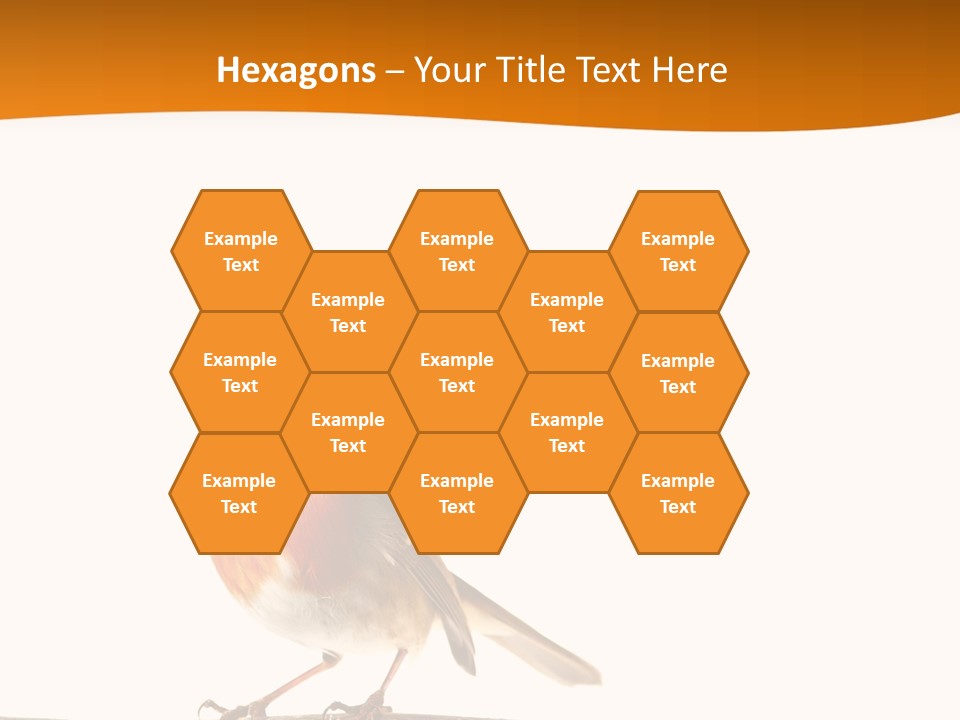 Close Perched Sing PowerPoint Template