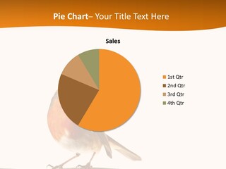 Close Perched Sing PowerPoint Template