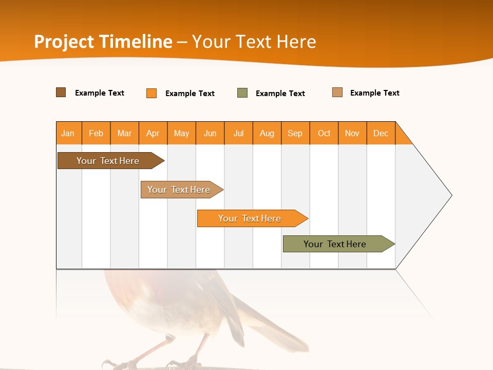 Close Perched Sing PowerPoint Template