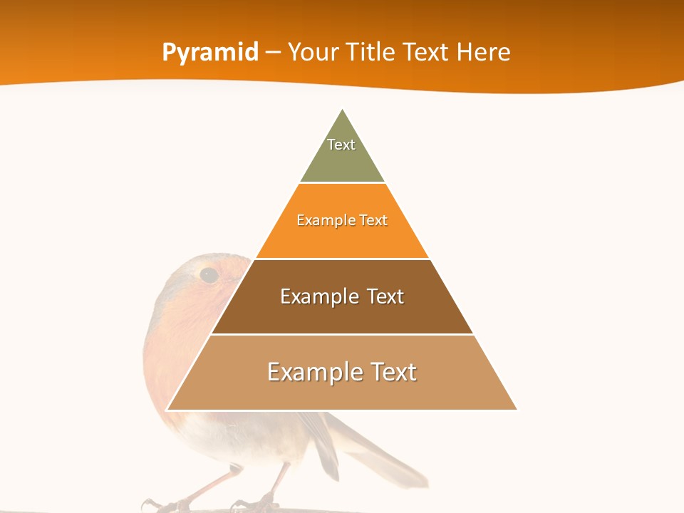 Close Perched Sing PowerPoint Template
