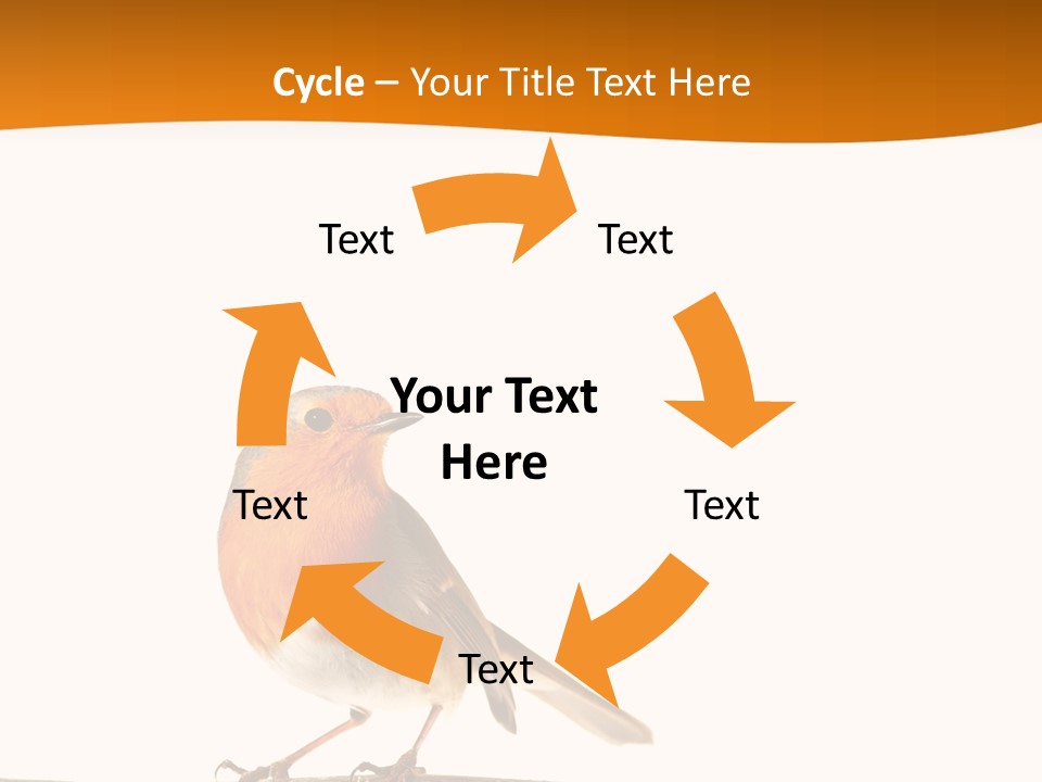 Close Perched Sing PowerPoint Template