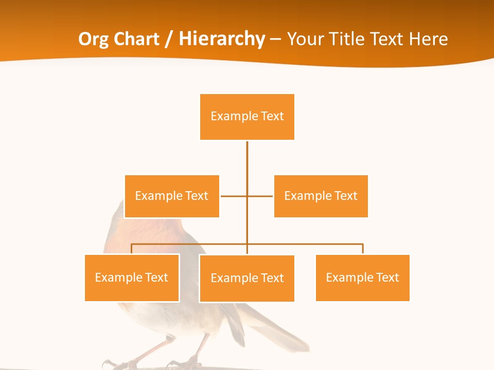 Close Perched Sing PowerPoint Template