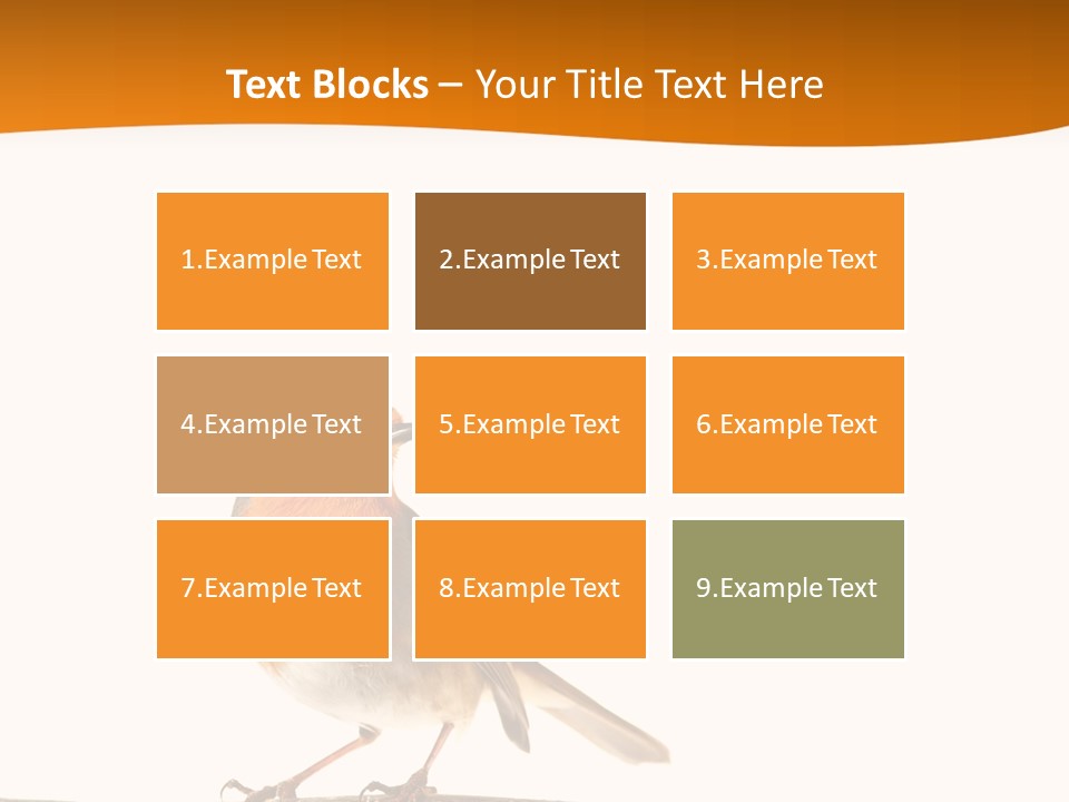 Close Perched Sing PowerPoint Template