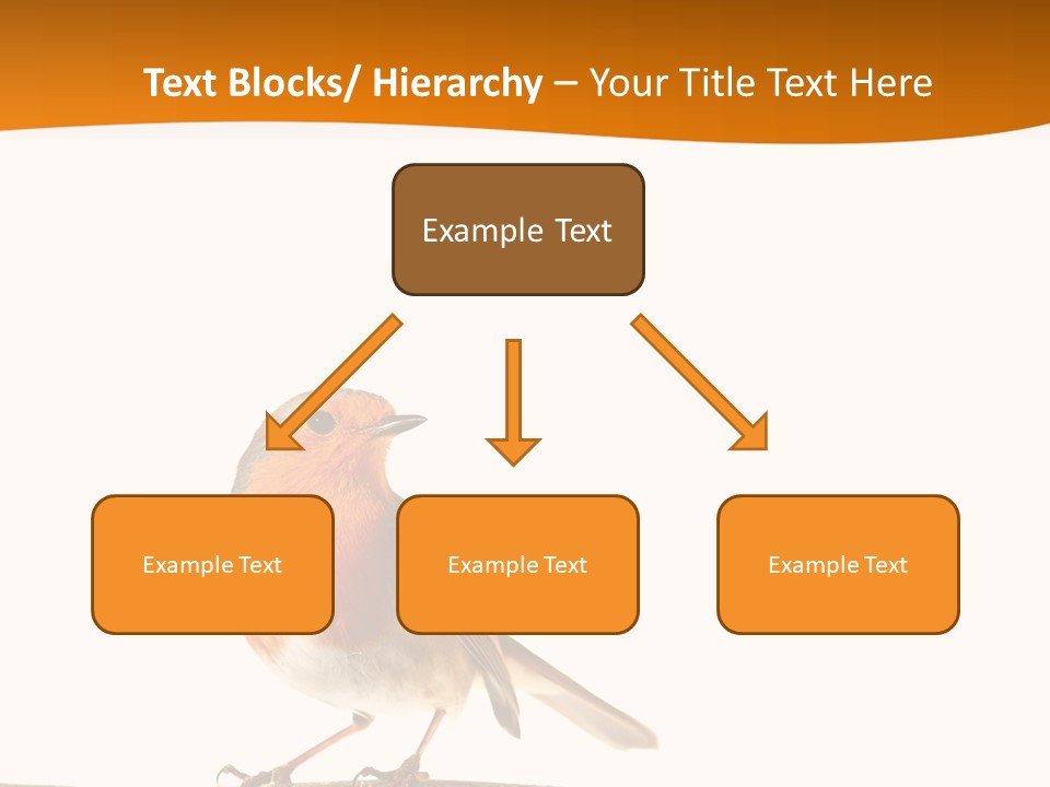 Close Perched Sing PowerPoint Template