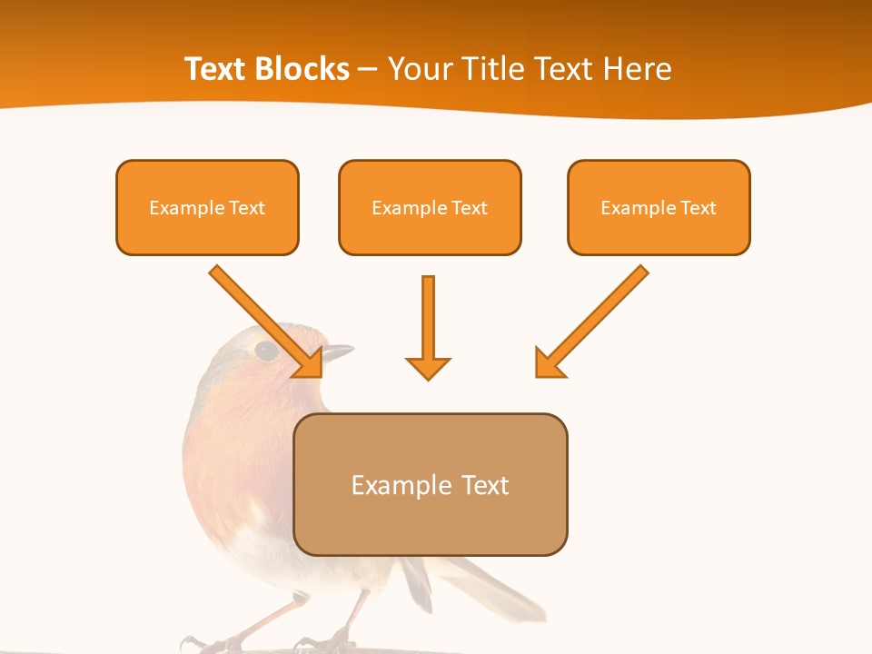 Close Perched Sing PowerPoint Template