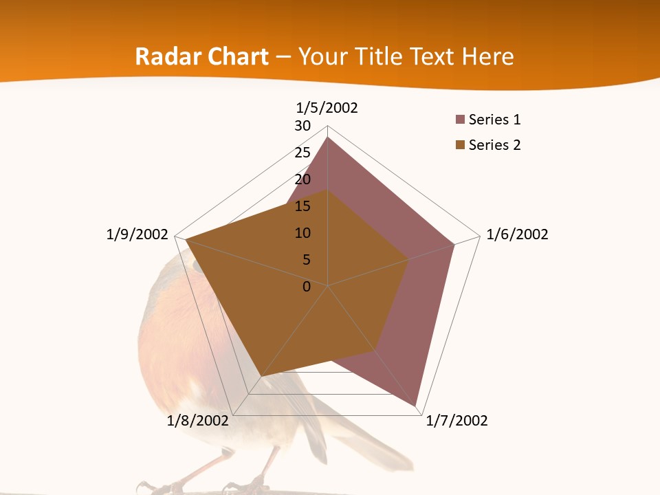 Close Perched Sing PowerPoint Template