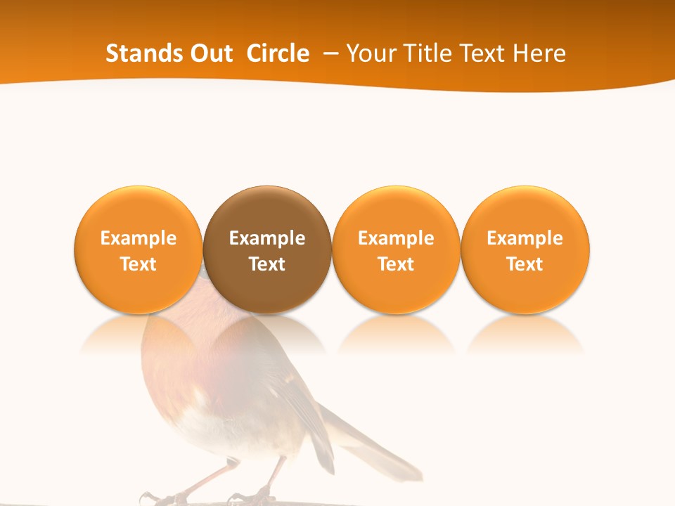 Close Perched Sing PowerPoint Template