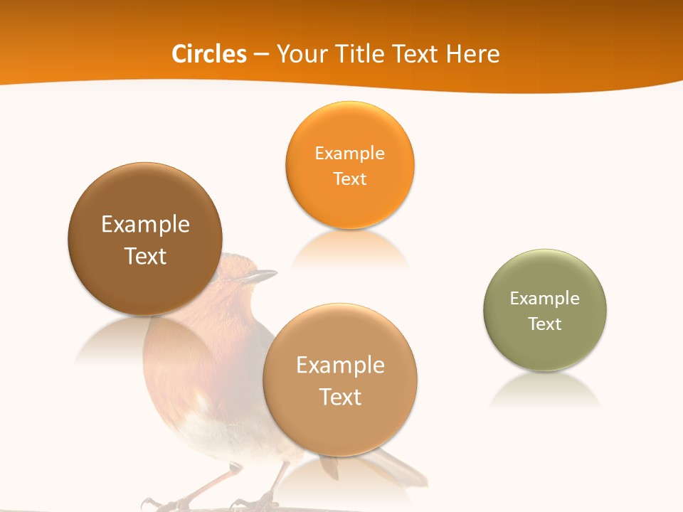 Close Perched Sing PowerPoint Template