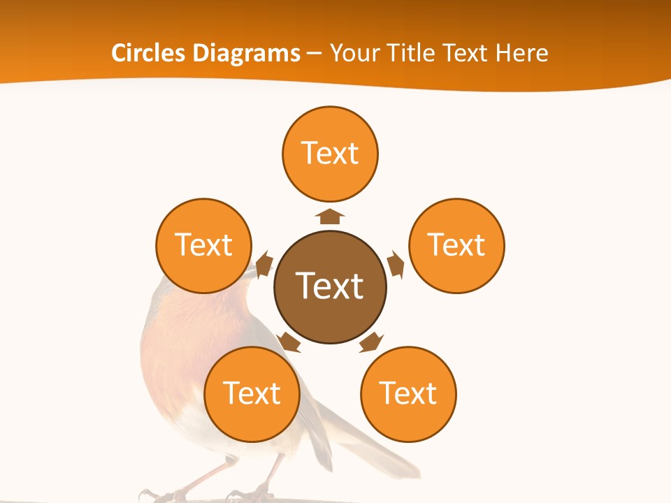 Close Perched Sing PowerPoint Template