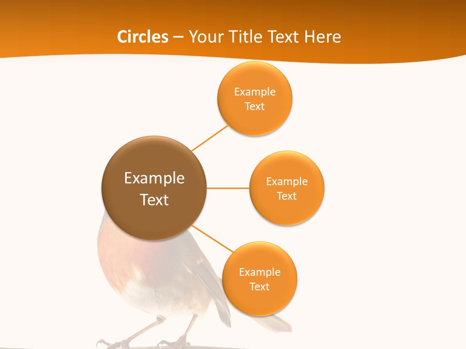 Close Perched Sing PowerPoint Template