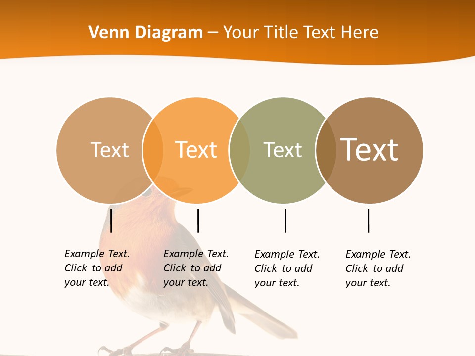 Close Perched Sing PowerPoint Template