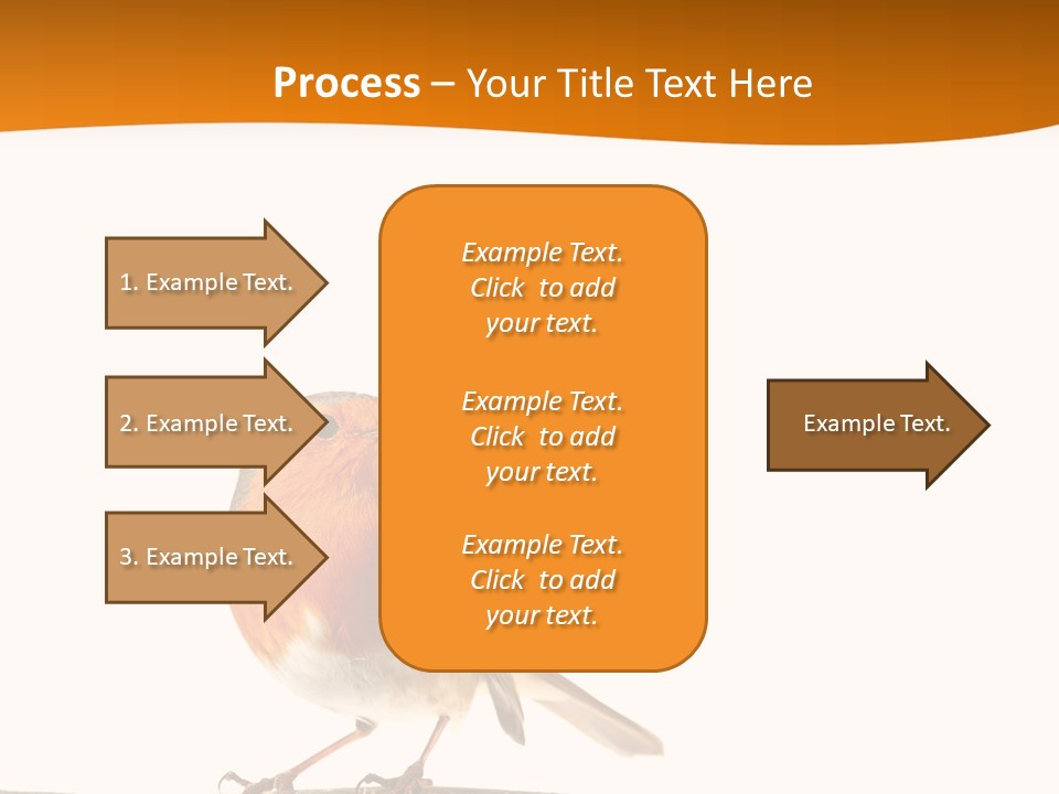 Close Perched Sing PowerPoint Template