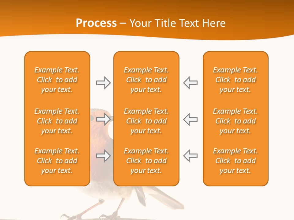 Close Perched Sing PowerPoint Template