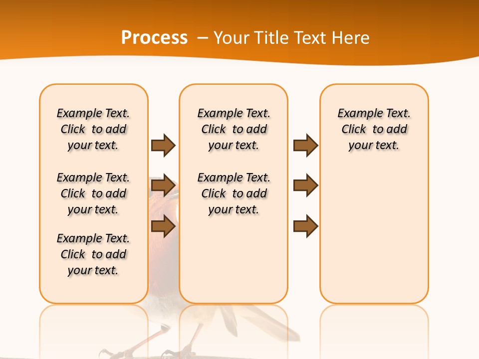 Close Perched Sing PowerPoint Template