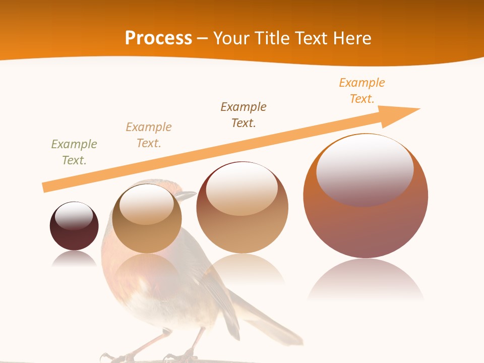 Close Perched Sing PowerPoint Template