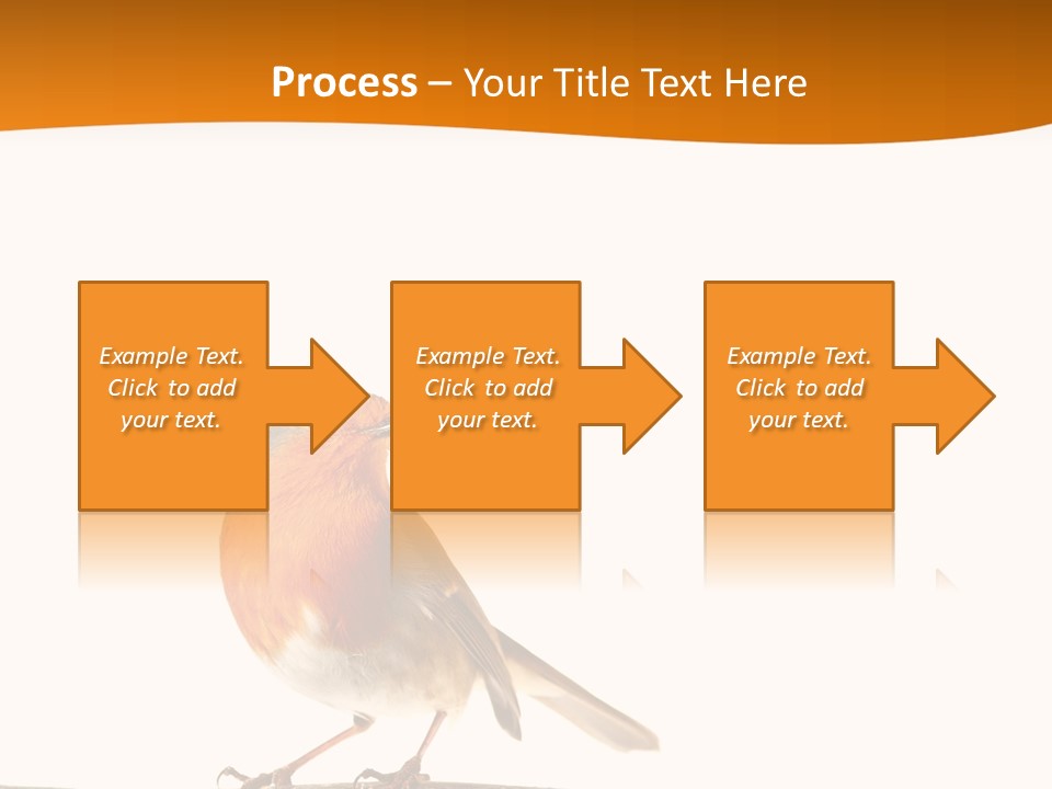 Close Perched Sing PowerPoint Template