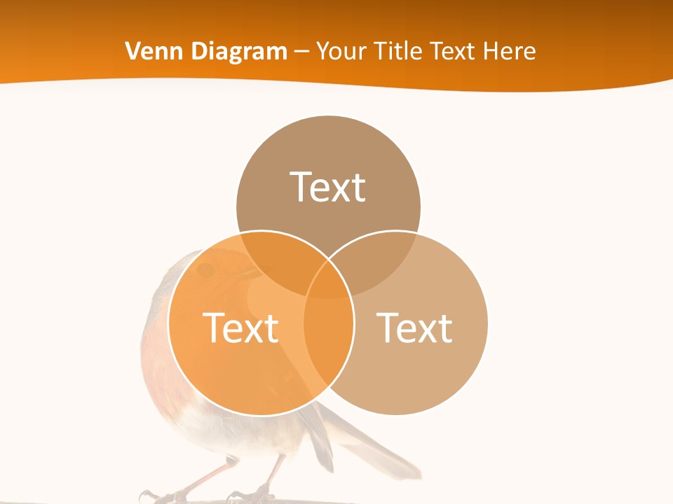 Close Perched Sing PowerPoint Template