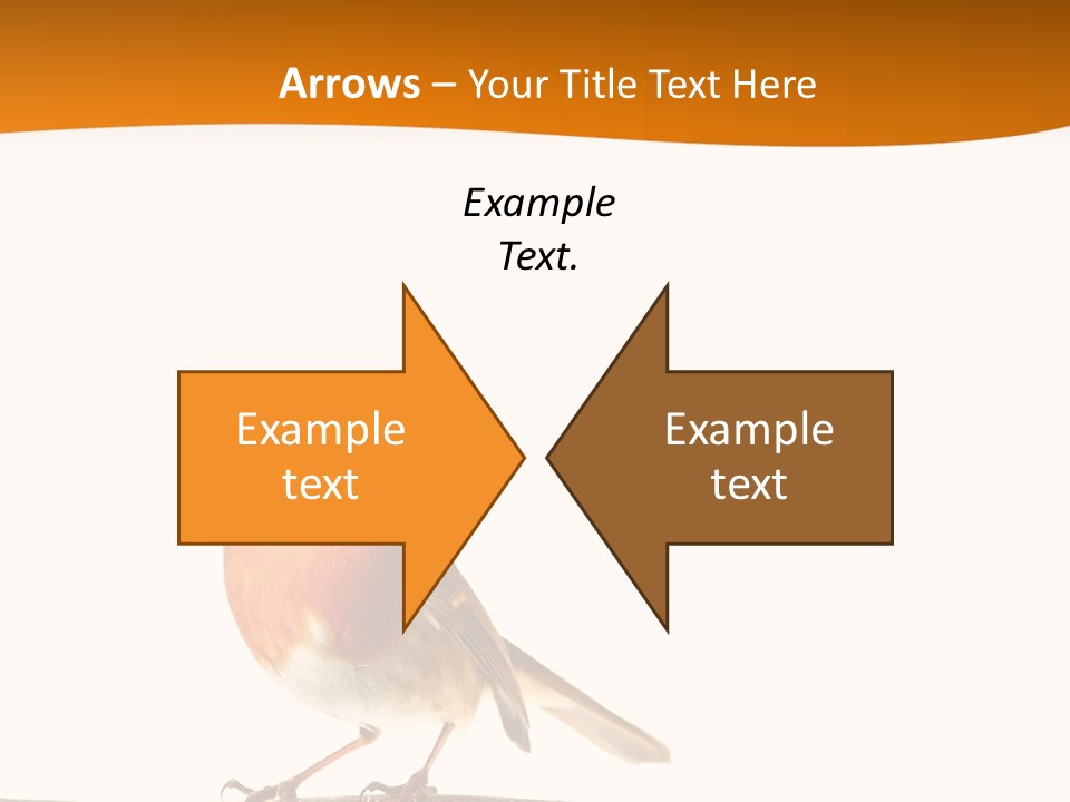 Close Perched Sing PowerPoint Template